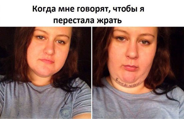 Забавные картинки