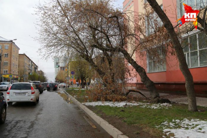 Когда в Красноярск придет тепло?