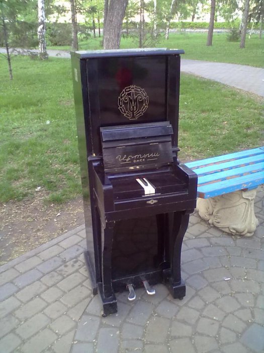 Забавные картинки