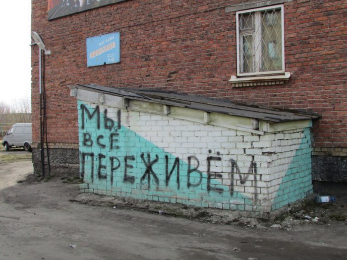 Забавные картинки