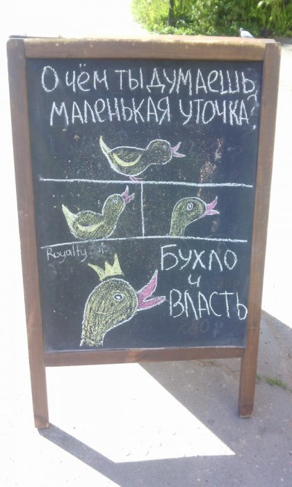 Забавные картинки