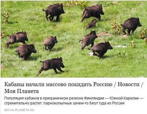Забавные картинки