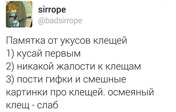 Забавные картинки