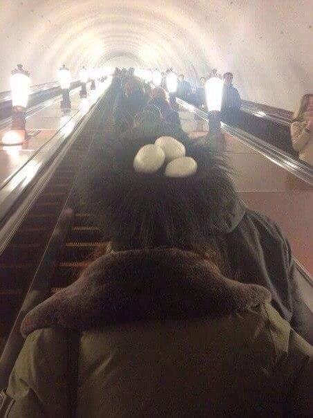 Забавные картинки