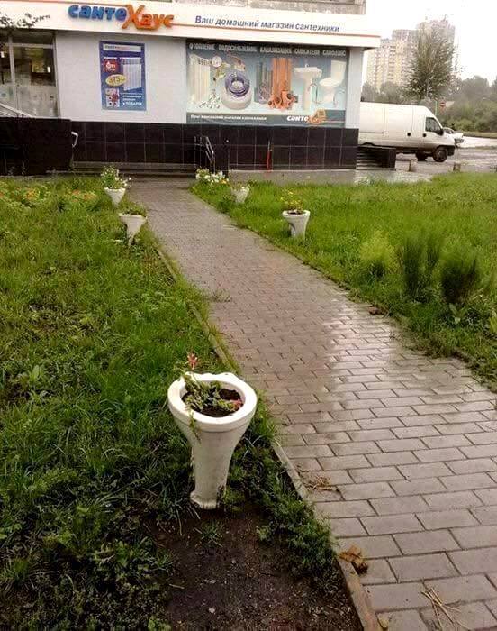 Забавные картинки