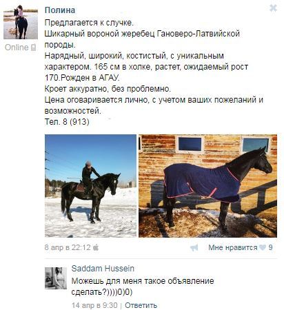 Забавные картинки