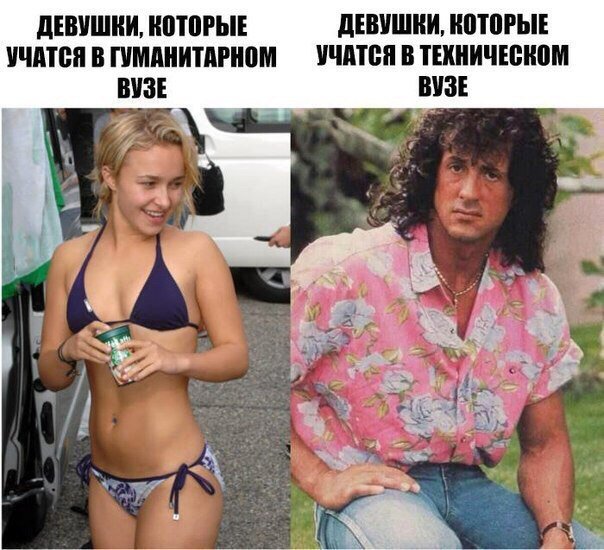 Забавные картинки