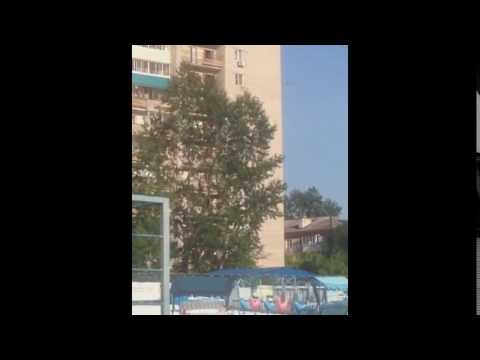 Про спайсы