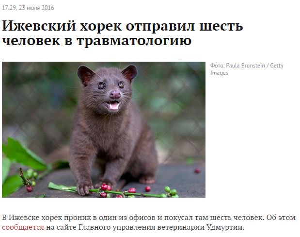 Забавные картинки