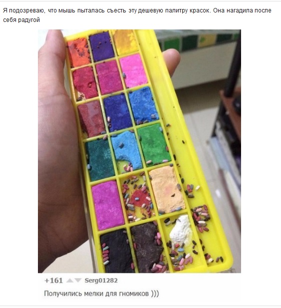 Забавные картинки