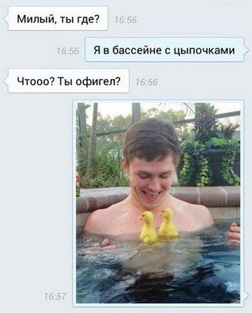 Забавные картинки