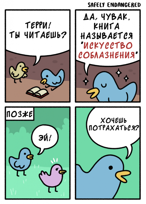 Забавные картинки