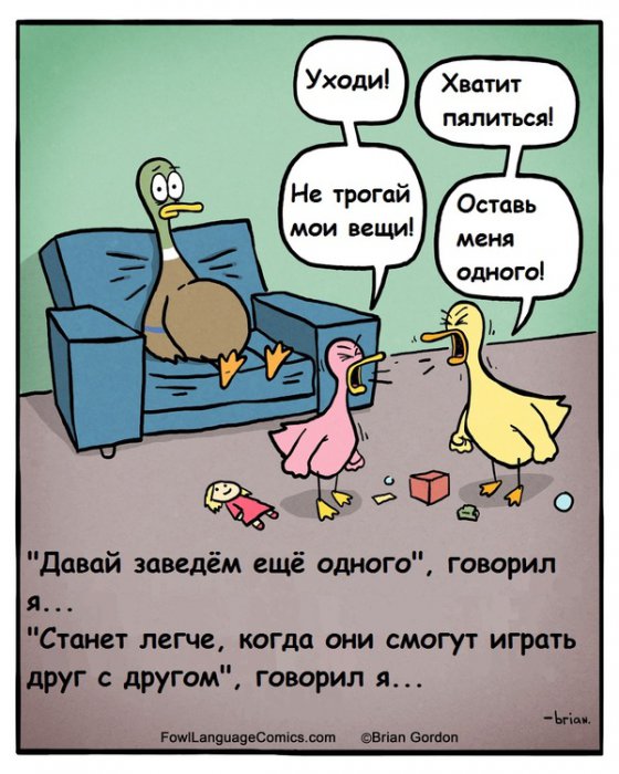 Забавные картинки
