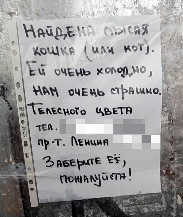 Забавные картинки