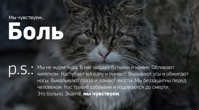 Мы чувствуем...