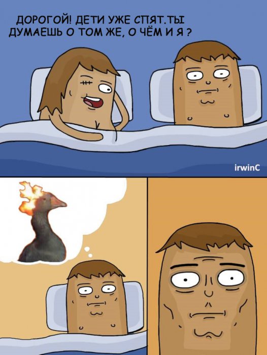 Забавные картинки