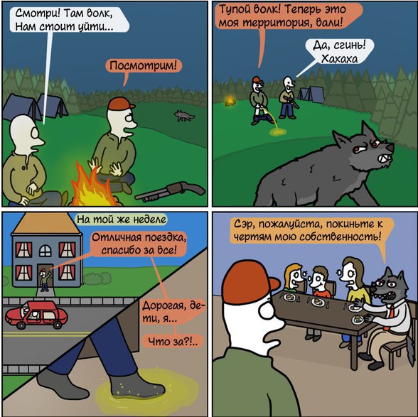 Забавные картинки