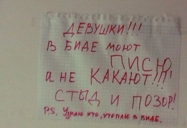 Забавные картинки