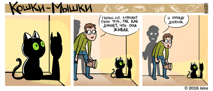 Забавные картинки