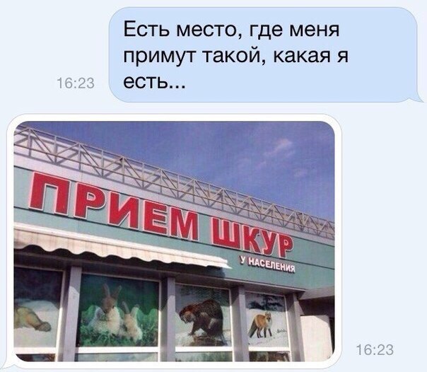 Забавные картинки