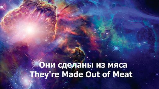 Терри Биссон. «Они сделаны из мяса»