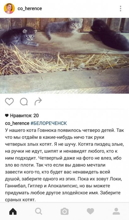 Забавные картинки
