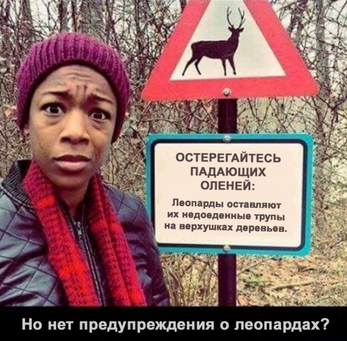 Забавные картинки