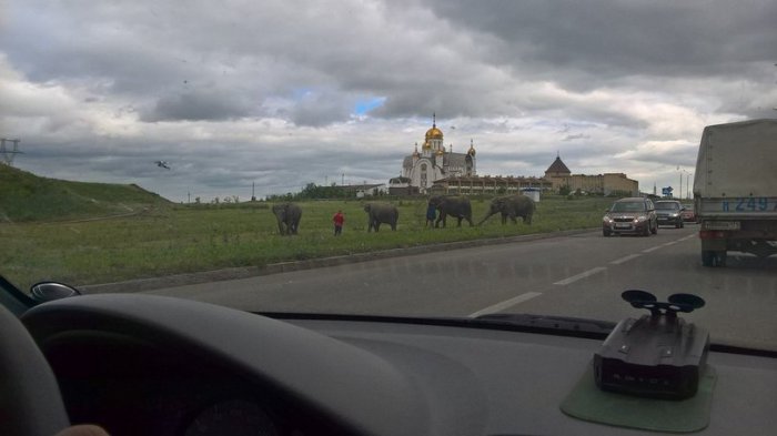 Забавные картинки