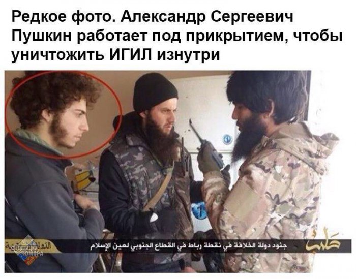 Забавные картинки