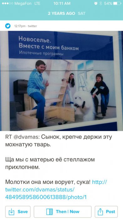 Забавные картинки