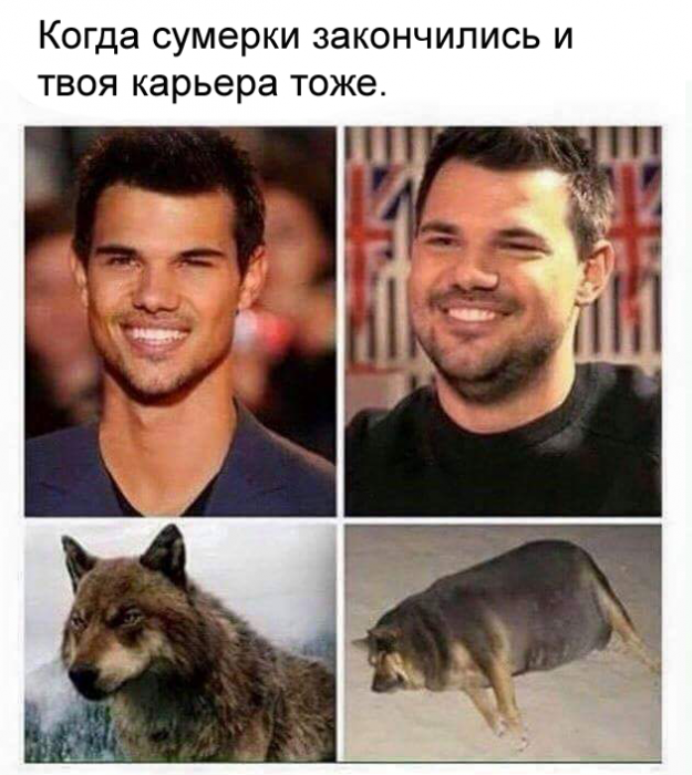 Забавные картинки
