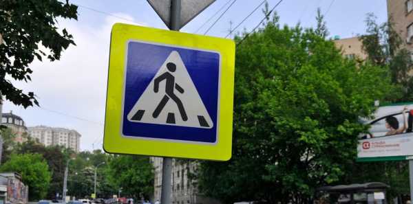 Штраф 5000 рублей за «пешехода»: законопроект внесен в Госдуму    
