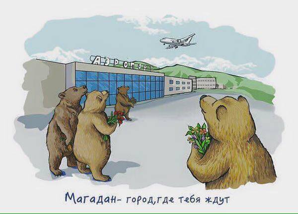 Забавные картинки