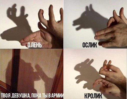 Забавные картинки
