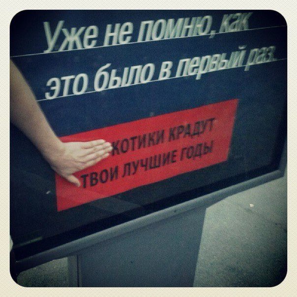Забавные картинки