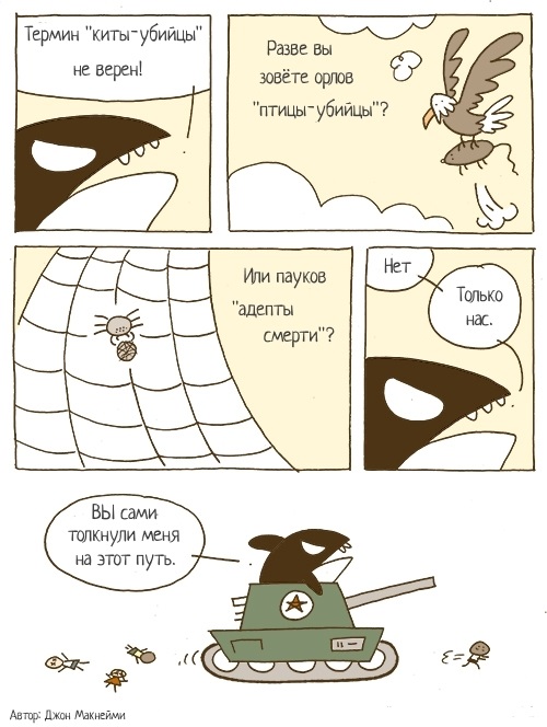 Забавные картинки