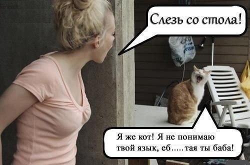 Забавные картинки