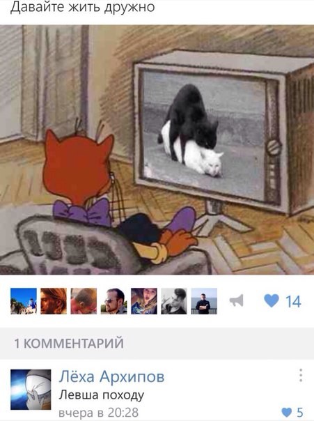 Забавные картинки