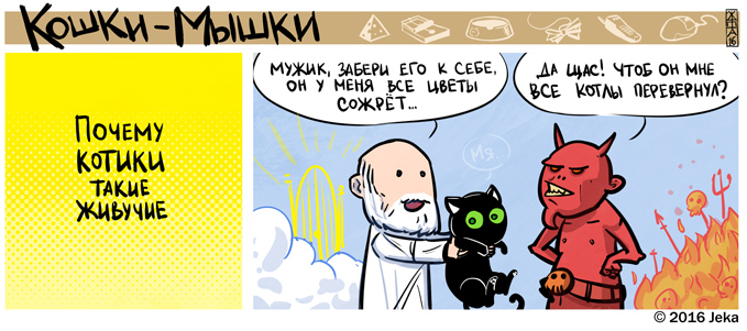 Забавные картинки