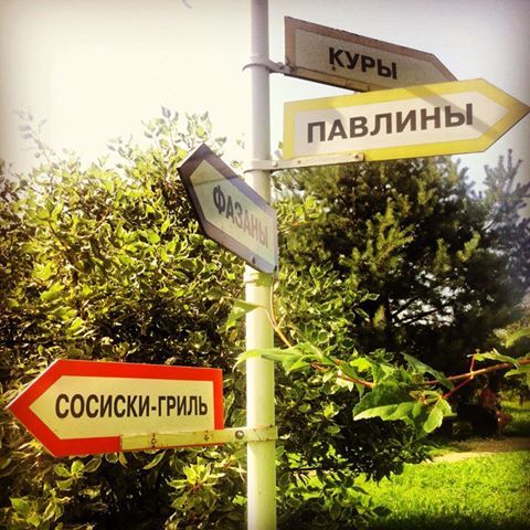 Забавные картинки