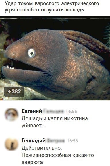 Забавные картинки