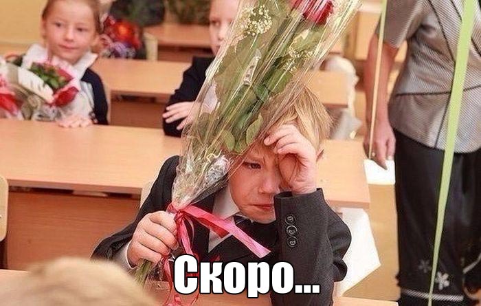 А вы любили ходить в школу?