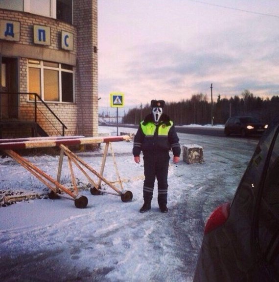 Забавные картинки