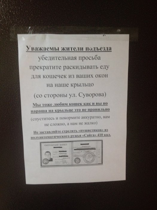Забавные картинки