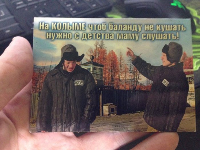 Забавные картинки