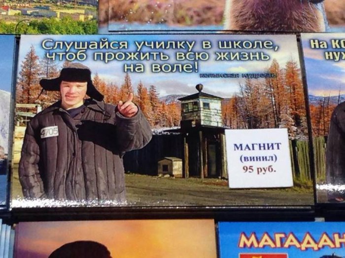 Забавные картинки