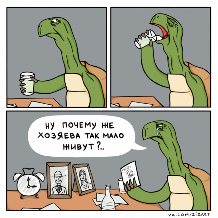Забавные картинки