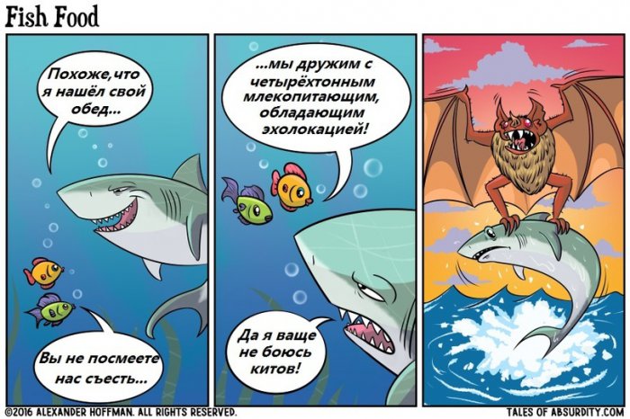 Забавные картинки