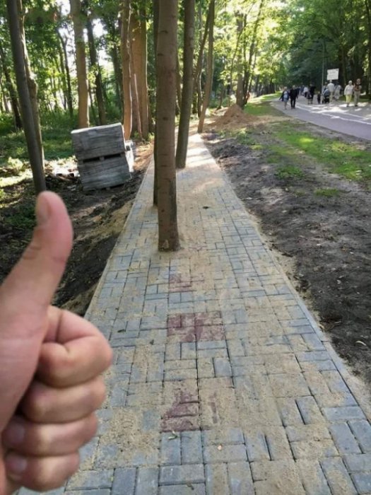 Забавные картинки