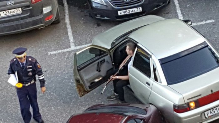Забавные картинки